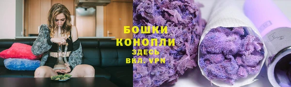 крисы Бронницы