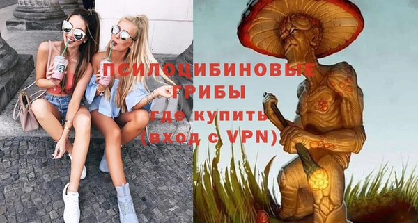 ешки Покачи