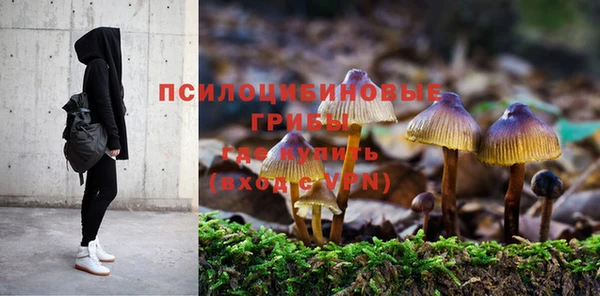 jwh Бородино