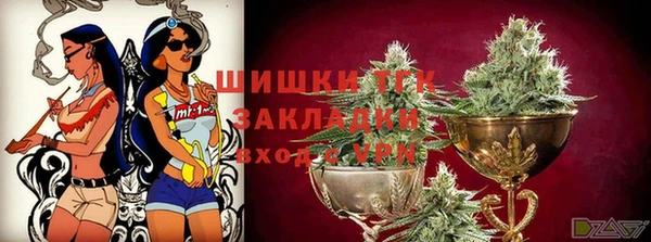 крисы Бронницы