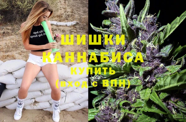 крисы Бронницы